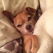 Lisa Krieger's photo