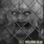 Mark Harrington's photo
