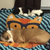Debbie Hanft-Smith's photo