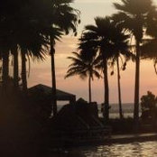Carolina Fuentes's photo
