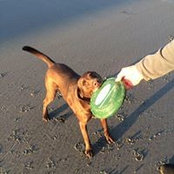 Matt Gallant's photo