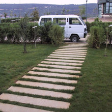 EROL AVCI