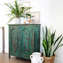 Plants decor