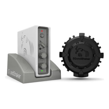 SoundShaker Bass Seat Vibration Kit, Amp and 1 Soundshaker