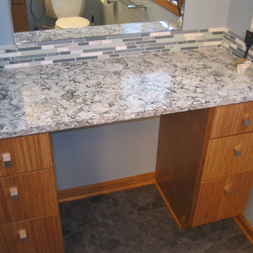 NE Grand Rapids Transitional Guest & Master Baths