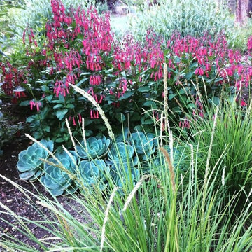 Sonoma County Garden