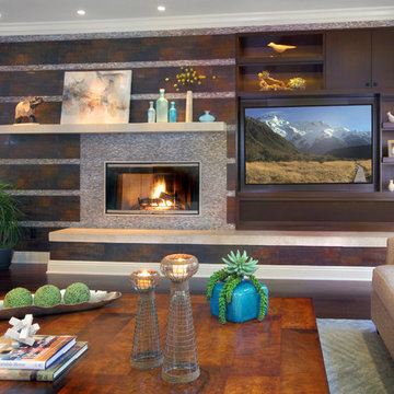 Contemporary Family Room - San Clemente