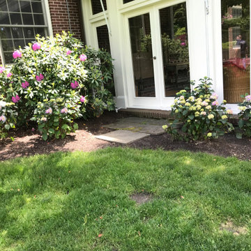 Greenwich Updates to Mature Landscape