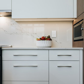 Modern Electric Kitchen_Delta Cedar Springs Home