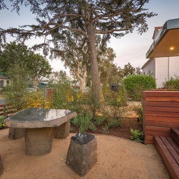 Mar Vista