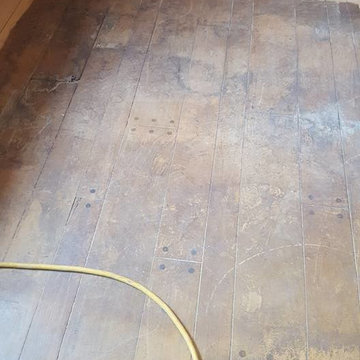 Gorgeous Hardwood Refinish