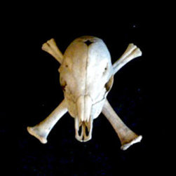 Skull and Cross Bone collection - Products