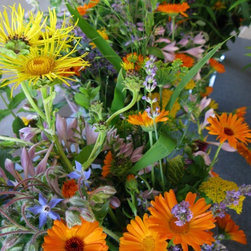 Flora Verdura - Products