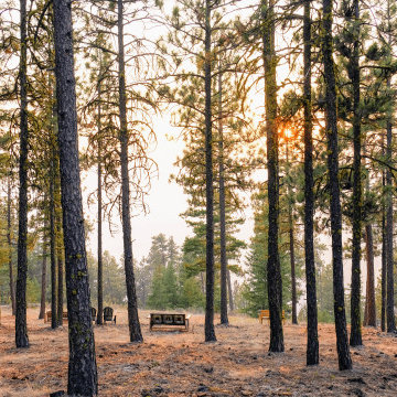 Wedding Design in the Forests of Chelan, WA