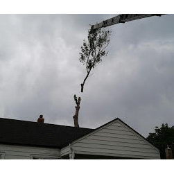 Great Western Tree Care - Products