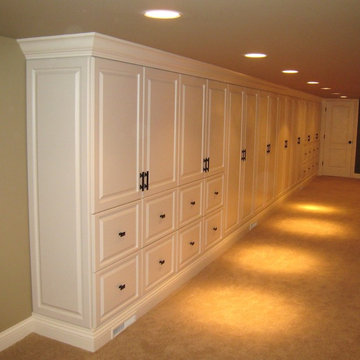 Basement Built-in Storage Cabinets in Middleton