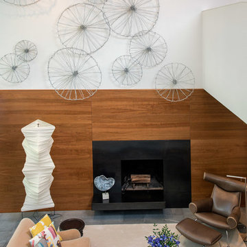 Modern Arlington Renovation