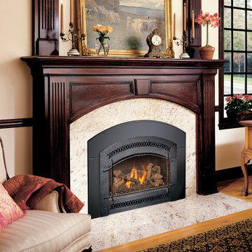 34 DVL Gas Fireplace Insert