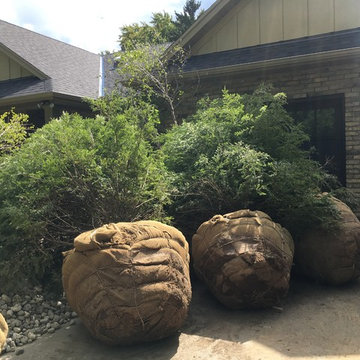 Woodland Garden Design Install