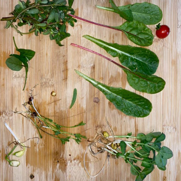Harvest