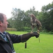 Steve O'Rorke's photo