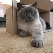 Patricia Perrings's photo