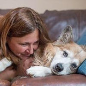 Dawn Kemper's photo