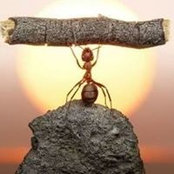 Richard Peet's photo