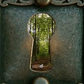 Ines Le Roy's photo