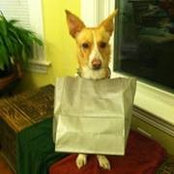 Beverly Hobbs's photo