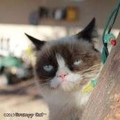 April Thomason's photo