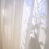 Olga Lagunova's photo