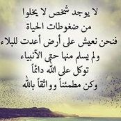 Rasha Mostafa's photo