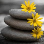 Deb Rigetti's photo
