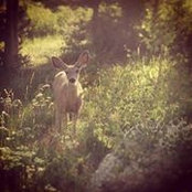 Jessika Potter's photo