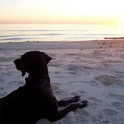 Katie Clint Shaw's photo