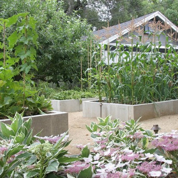 Victorian Edible Garden - South Pasadena