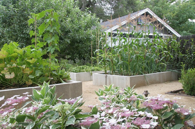 ������������ ��� by ecocentrix landscape architecture