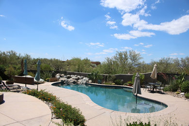 Inspiration for a mid-sized contemporary pool remodel in Phoenix