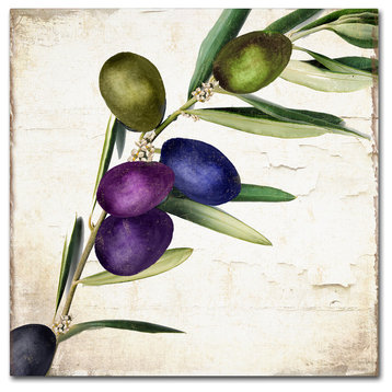 Color Bakery 'Olive Branch III' Canvas Art, 18x18