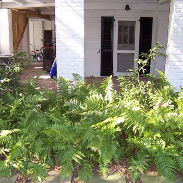 Landscaping & Design Portfolio