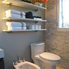 bidet and toilet