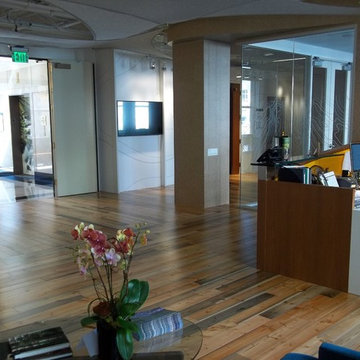 Transbay Terminal Douglas Fir