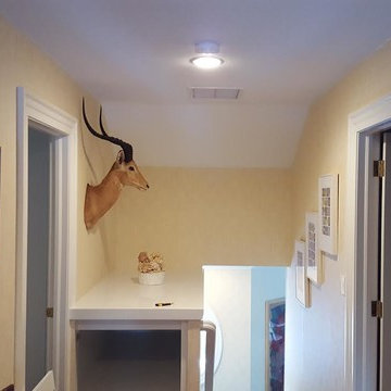 Interior Paint & Wall Coverings
