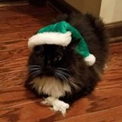 Gina Stalker-Boyle's photo