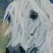 Anneke Morel's photo
