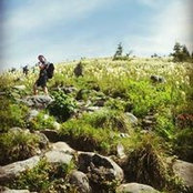 Ross Beamish's photo