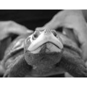 Ashley Best's photo