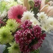 Shahnaz Khan's photo