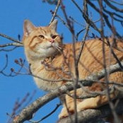 Vicki Rice's photo